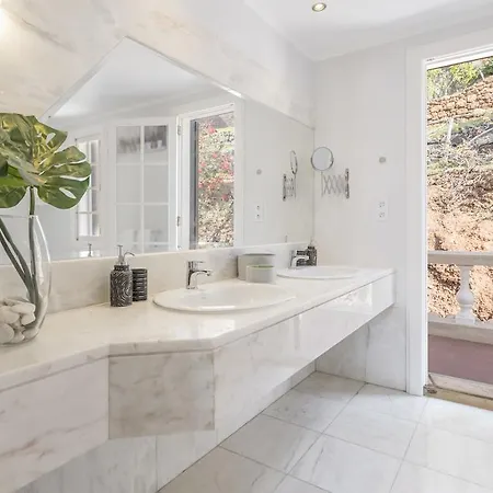 Eucalipto By An Island