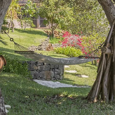 Eucalipto By An Island Vila Funchal (Madeira)