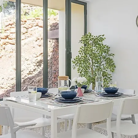 Eucalipto By An Island Funchal (Madeira)