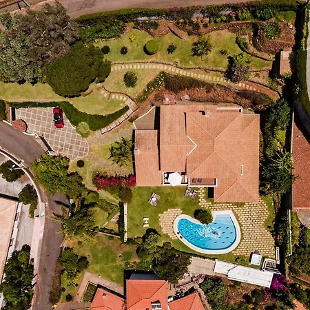 Eucalipto By An Island