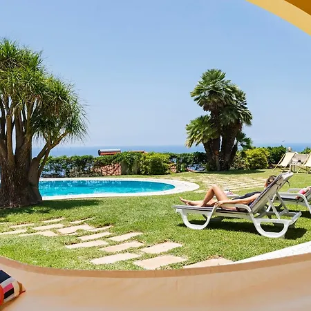 Eucalipto By An Island * Funchal (Madeira)