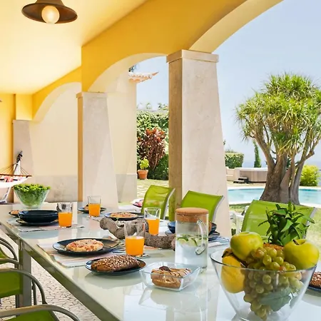 Eucalipto By An Island Funchal (Madeira)