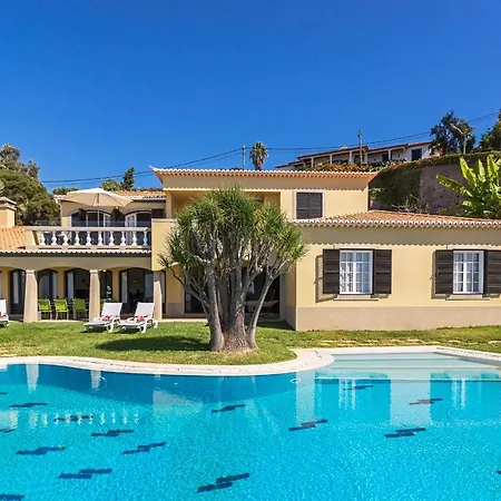 Eucalipto By An Island *