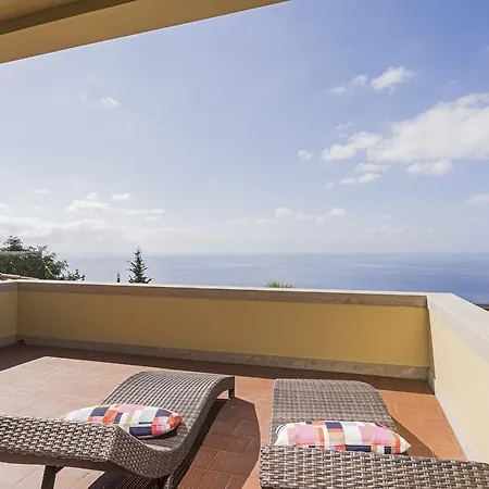 Eucalipto By An Island *