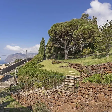 Eucalipto By An Island *