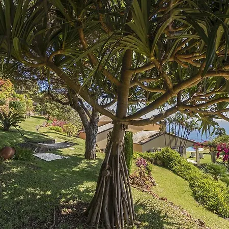 Villa Eucalipto By An Island