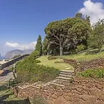 Eucalipto By An Island *
